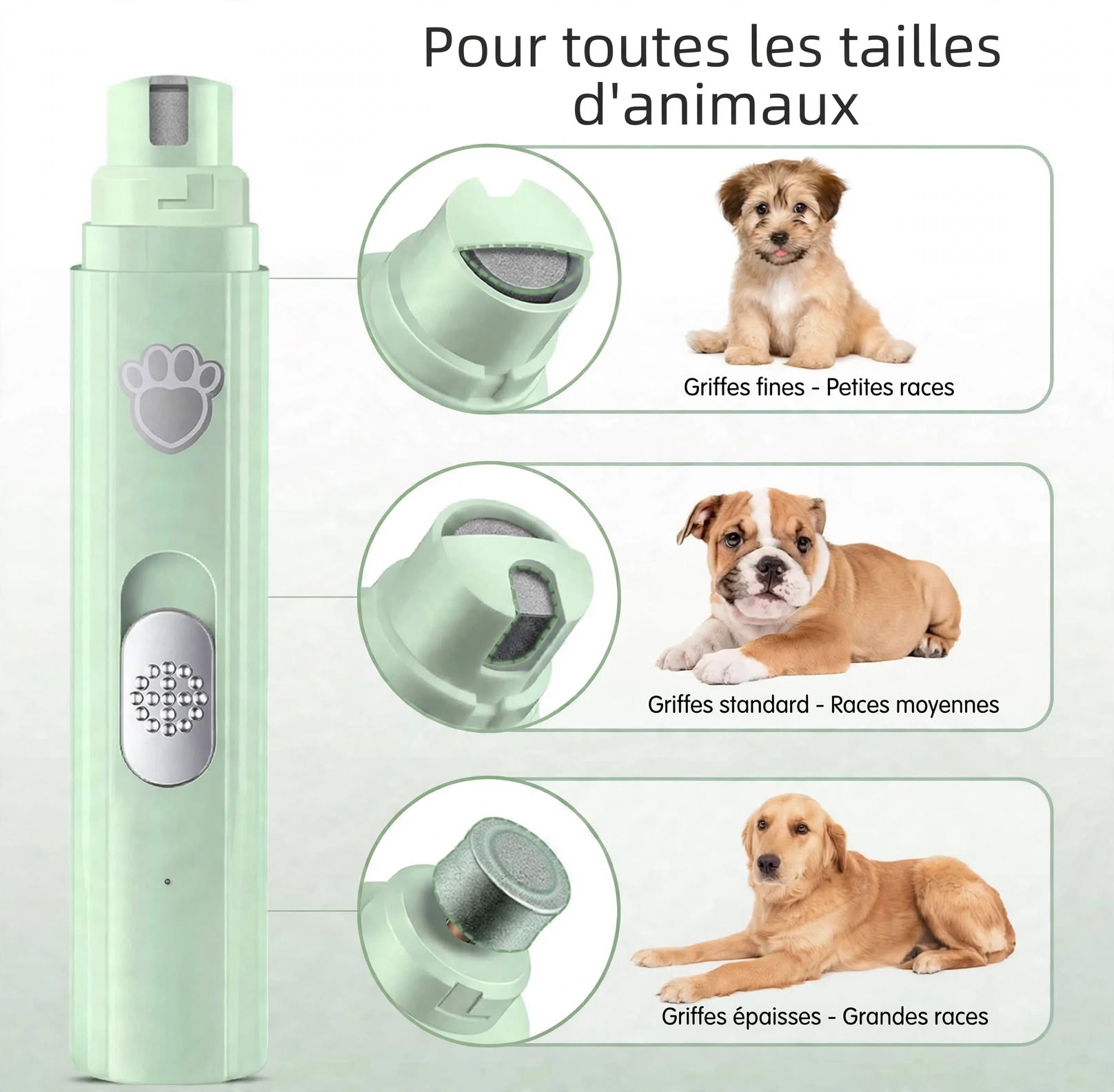Lime à Griffes Électrique pour Chien et Chat – Rechargeable USB