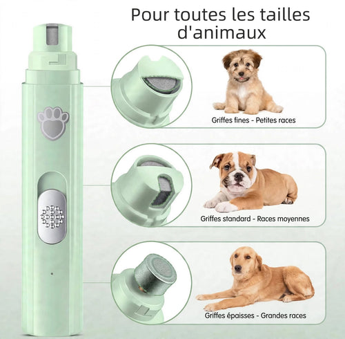 Lime à Griffes Électrique pour Chien et Chat – Rechargeable USB